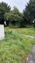 Bild zu gemeldetem Anliegen vom *2024-08-02 06:30:49