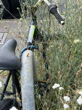 Bild zu gemeldetem Anliegen vom *2024-08-18 12:07:31