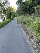 Bild zu gemeldetem Anliegen vom *2024-08-07 19:36:50