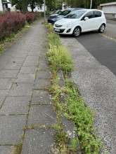 Bild zu gemeldetem Anliegen vom *2024-08-01 12:34:41