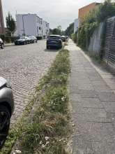 Bild zu gemeldetem Anliegen vom *2024-08-29 15:34:40