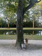 Bild zu gemeldetem Anliegen vom *2024-08-11 08:30:48