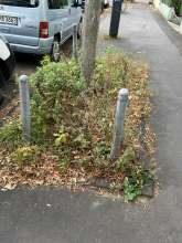 Bild zu gemeldetem Anliegen vom *2024-08-13 13:45:48
