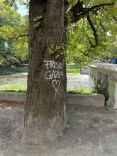 Bild zu gemeldetem Anliegen vom *2024-08-12 13:55:59