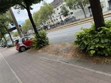 Bild zu gemeldetem Anliegen vom *2024-08-16 14:00:39