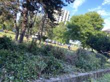 Bild zu gemeldetem Anliegen vom *2024-08-12 16:45:53