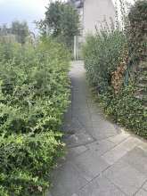 Bild zu gemeldetem Anliegen vom *2024-08-23 12:29:07