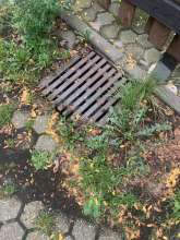 Bild zu gemeldetem Anliegen vom *2024-08-02 15:28:15