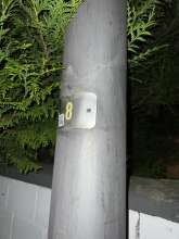 Bild zu gemeldetem Anliegen vom *2024-08-01 09:53:22