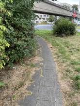 Bild zu gemeldetem Anliegen vom *2024-08-15 10:49:33