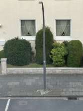 Bild zu gemeldetem Anliegen vom *2024-08-03 19:09:55