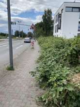 Bild zu gemeldetem Anliegen vom *2024-08-08 08:58:18