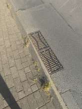 Bild zu gemeldetem Anliegen vom *2024-08-27 18:23:05
