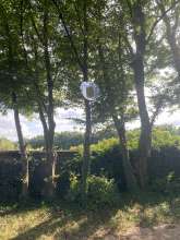 Bild zu gemeldetem Anliegen vom *2024-08-26 15:28:57