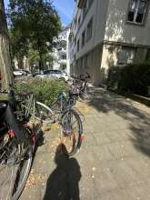 Bild zu gemeldetem Anliegen vom *2024-08-12 15:05:23