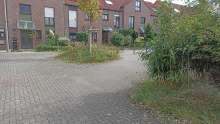 Bild zu gemeldetem Anliegen vom *2024-09-24 12:29:24