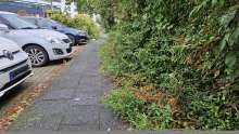 Bild zu gemeldetem Anliegen vom *2024-09-09 15:30:07