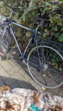 Bild zu gemeldetem Anliegen vom *2024-09-27 12:27:43