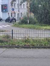 Bild zu gemeldetem Anliegen vom *2024-09-30 12:31:59