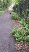 Bild zu gemeldetem Anliegen vom *2024-09-25 06:35:25
