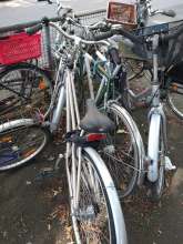 Bild zu gemeldetem Anliegen vom *2024-09-19 14:08:50