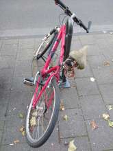 Bild zu gemeldetem Anliegen vom *2024-09-20 08:12:54
