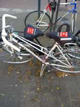 Bild zu gemeldetem Anliegen vom *2024-09-20 08:18:51
