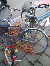 Bild zu gemeldetem Anliegen vom *2024-09-27 08:25:40