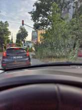 Ampelanlage rechts zugewachsen