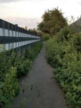 Bild zu gemeldetem Anliegen vom *2024-09-06 12:30:59