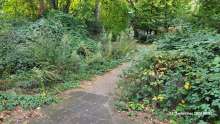 Bild zu gemeldetem Anliegen vom *2024-09-23 09:27:20