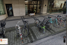 Bild zu gemeldetem Anliegen vom *2024-09-24 18:07:47