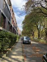 .Bild zu gemeldetem Anliegen vom *2024-09-19 12:31:57