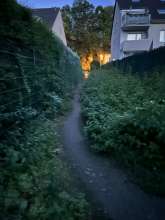 Bild zu gemeldetem Anliegen vom *2024-09-03 03:33:16