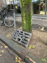 Bild zu gemeldetem Anliegen vom *2024-09-27 08:07:25