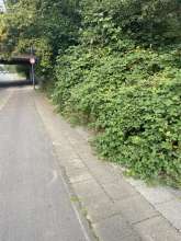 Bild zu gemeldetem Anliegen vom *2024-09-06 09:28:18
