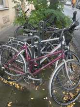 Bild zu gemeldetem Anliegen vom *2024-09-26 06:29:44