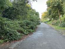 Bild zu gemeldetem Anliegen vom *2024-09-30 09:32:55