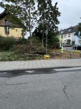 Bild zu gemeldetem Anliegen vom *2024-09-05 12:30:53