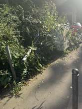 Bild zu gemeldetem Anliegen vom *2024-09-19 10:31:50