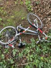 Bild zu gemeldetem Anliegen vom *2024-09-25 09:29:07