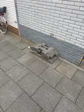 Bild zu gemeldetem Anliegen vom *2024-09-27 09:44:31