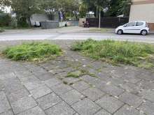 Bild zu gemeldetem Anliegen vom *2024-09-29 15:17:38