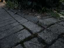 Bild zu gemeldetem Anliegen vom *2024-09-06 18:29:26