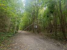 Bild zu gemeldetem Anliegen vom *2024-10-13 15:27:10