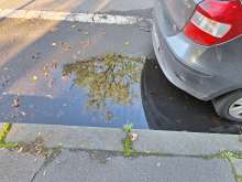 Bild zu gemeldetem Anliegen vom *2024-10-03 12:27:42