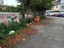 Bild zu gemeldetem Anliegen vom *2024-10-06 21:33:44