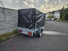 Bild zu gemeldetem Anliegen vom *2024-10-17 21:32:24