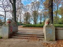 Bild zu gemeldetem Anliegen vom *2024-10-06 15:36:58