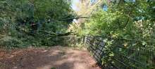 Bild zu gemeldetem Anliegen vom *2024-10-12 06:36:20